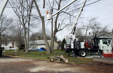 LaPila Arborists and Design