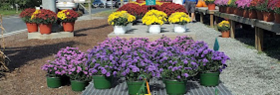 Mason’s Farm Market