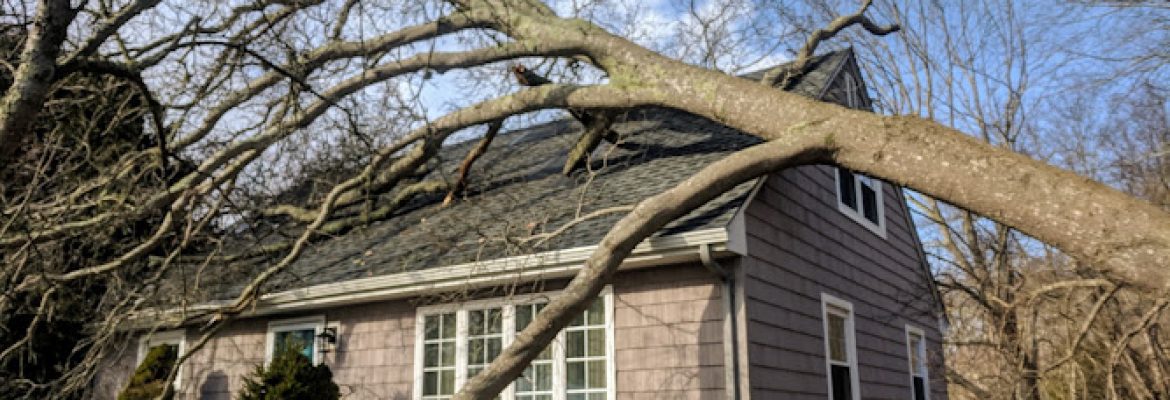 Dunn’s Tree Service LLC