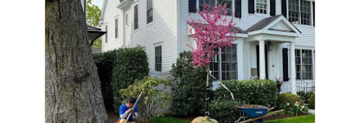The Flower Pot Gardening Services LLC