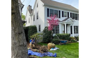 The Flower Pot Gardening Services LLC