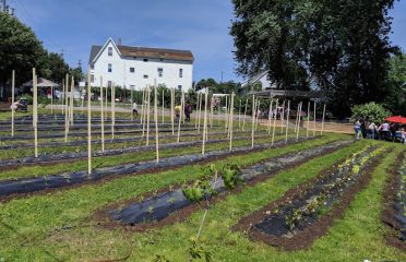 Fairgate Farm