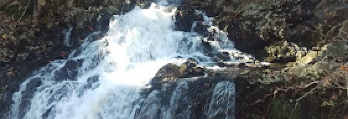 Parking and Trailhead – McLean Game Refuge