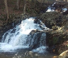 Parking and Trailhead – McLean Game Refuge