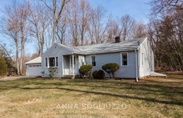 Anna Sogliuzzo Realtor @ BHHSNE