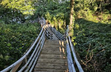 Camp Bethel