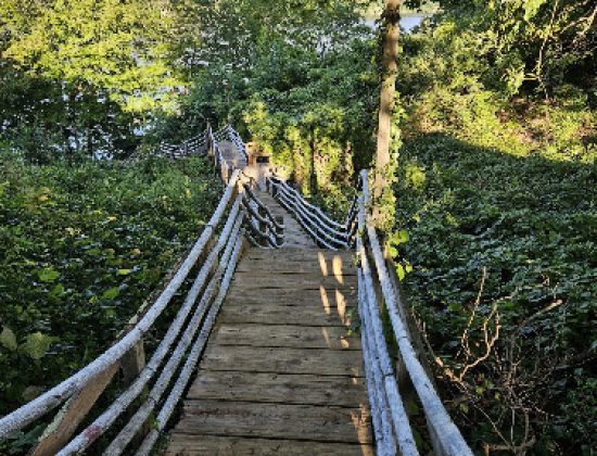 Camp Bethel