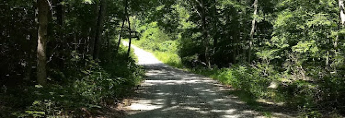 Nehantic State Forest