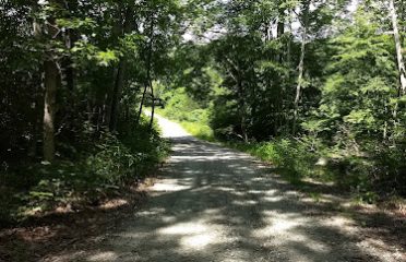 Nehantic State Forest