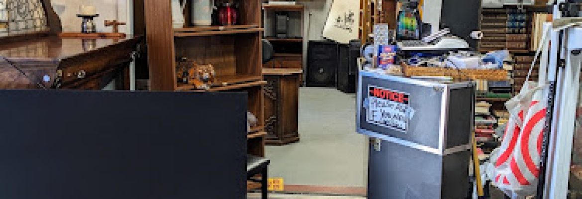 The lady store