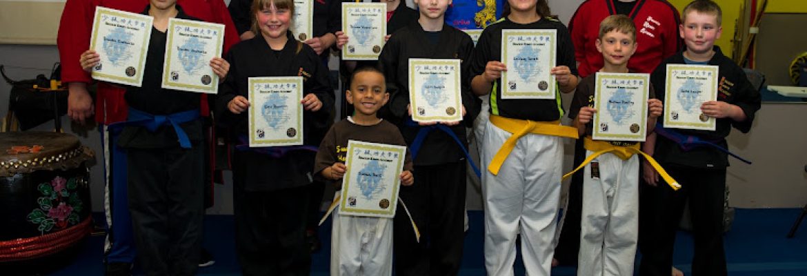 Shaolin Kempo Academy