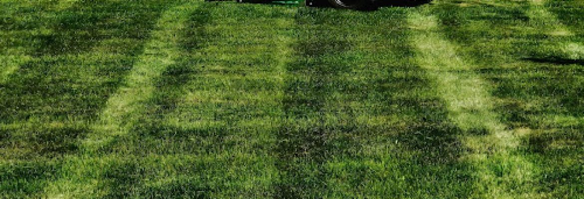 Leviathan Lawn Care