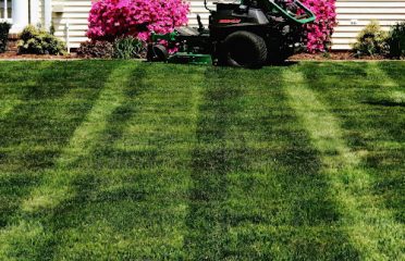 Leviathan Lawn Care