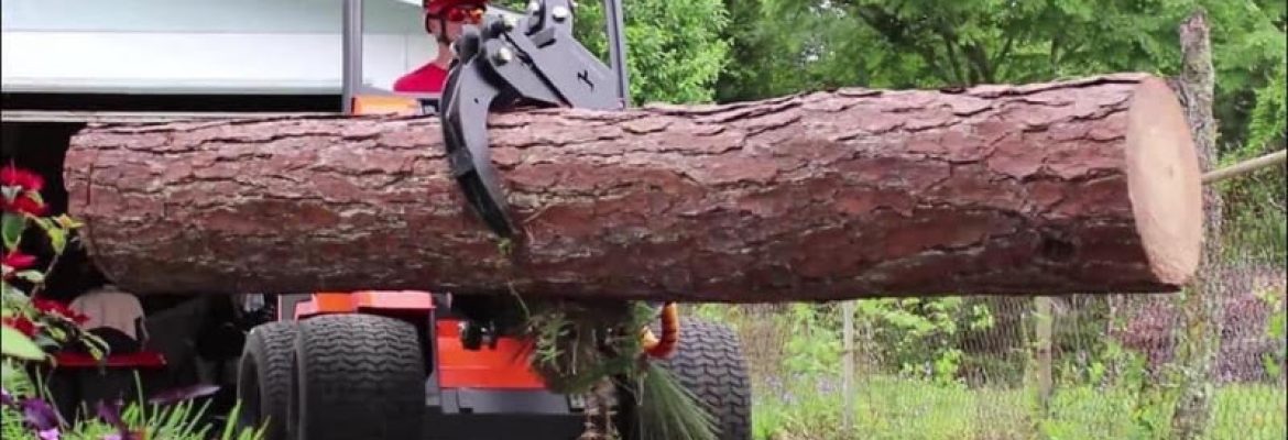 Double Tree Removal Services