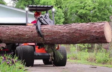 Double Tree Removal Services