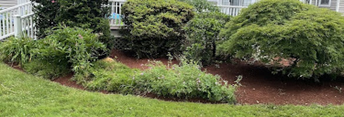 Bambino Brother’s Property Maintenance LLC