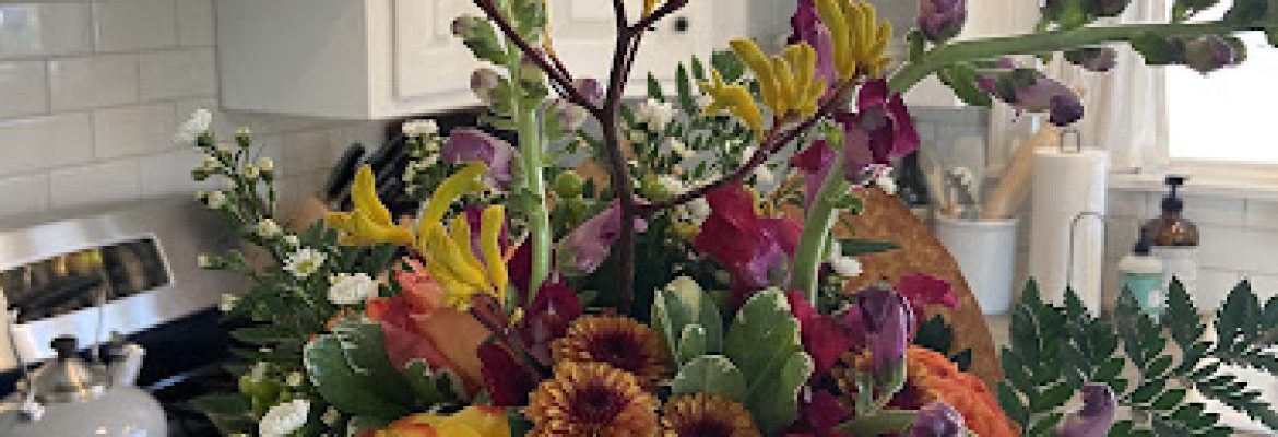 Riverside Nursery Garden Center & Florist