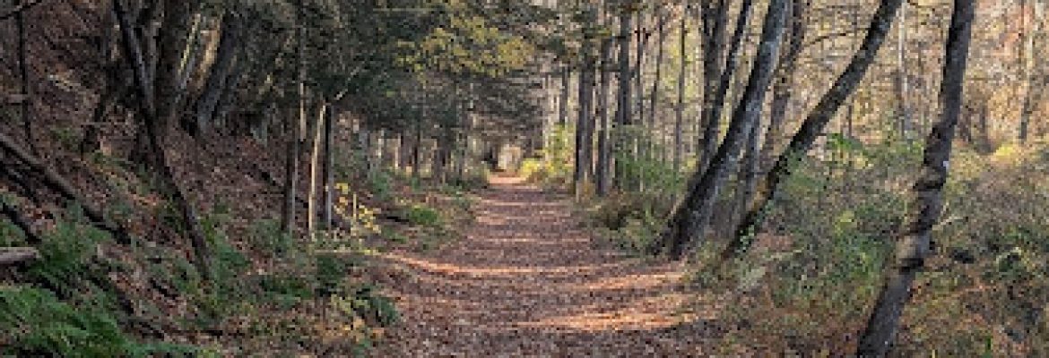 River Road Preserve