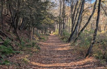 River Road Preserve