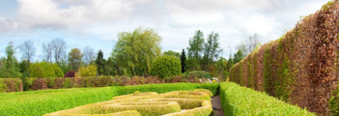 Tate’s Property Care, LLC