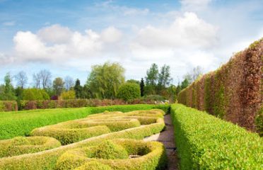 Tate’s Property Care, LLC