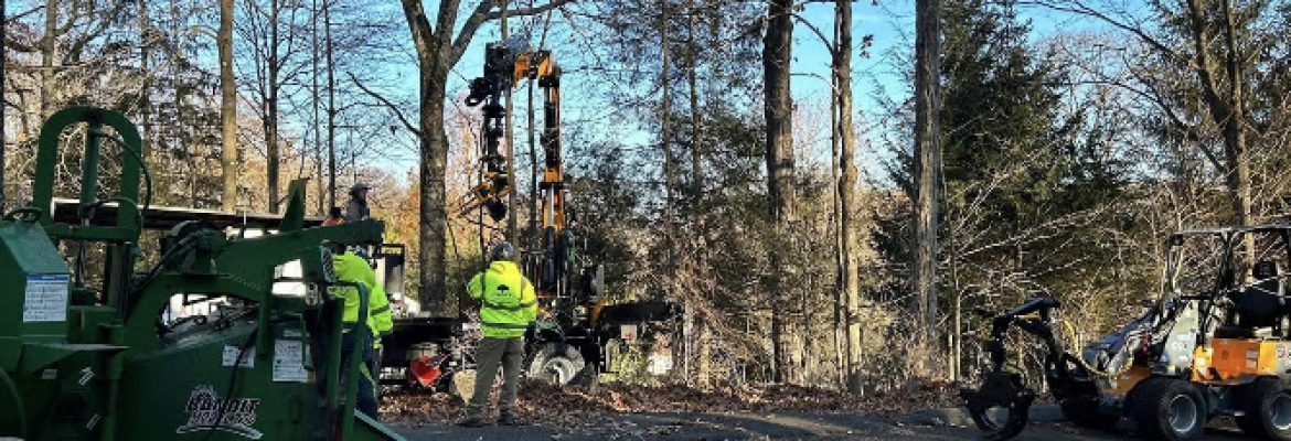 Frank’s Arborcare LLC