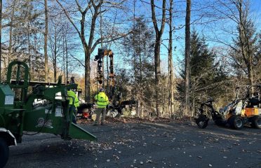 Frank’s Arborcare LLC