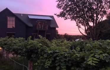 Rose Vineyards