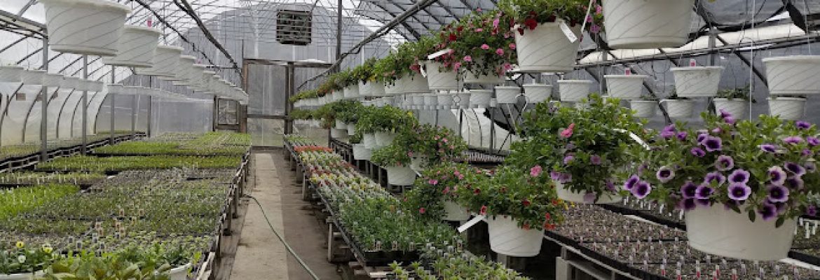 Golden Acres Farms