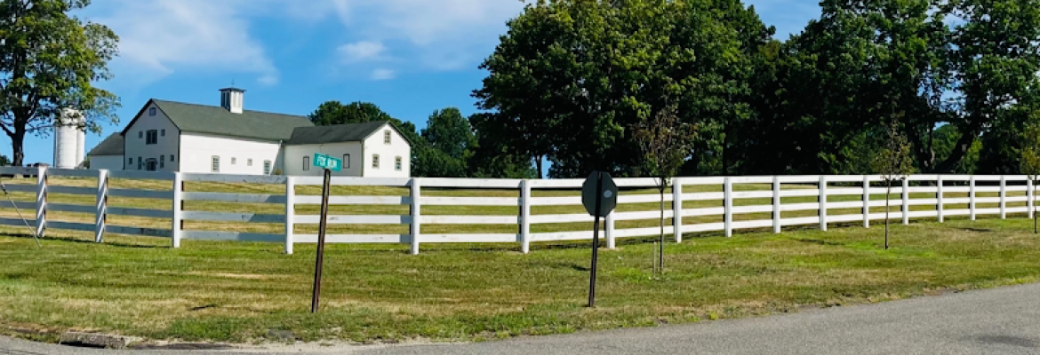 Fence Contractor- My Fence Guy