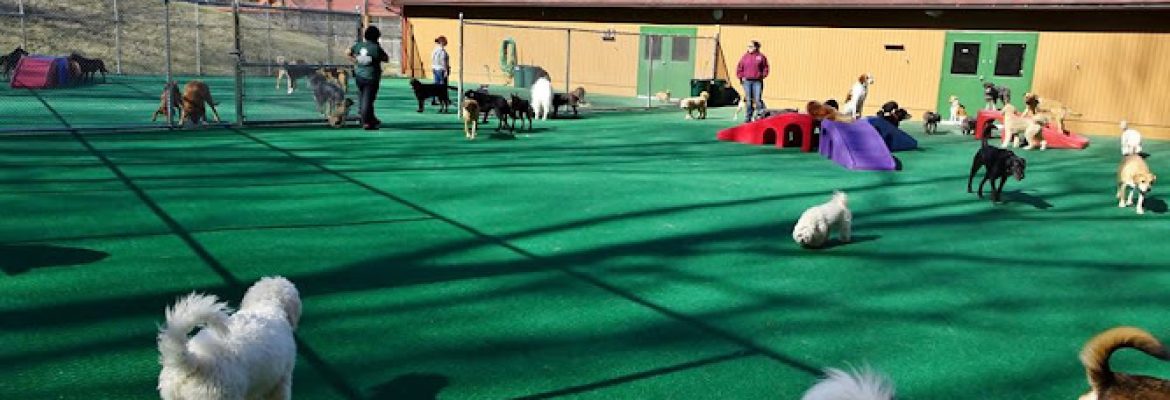 Candlewick Kennels