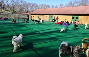 Candlewick Kennels