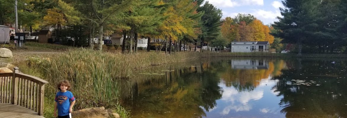 Nipmuck State Forest