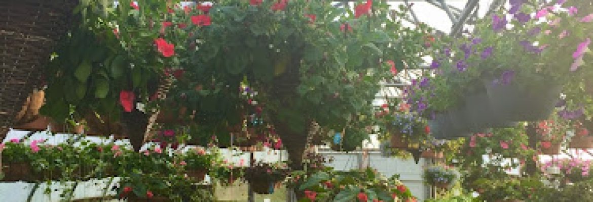Garden Center