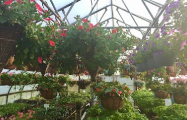 Garden Center