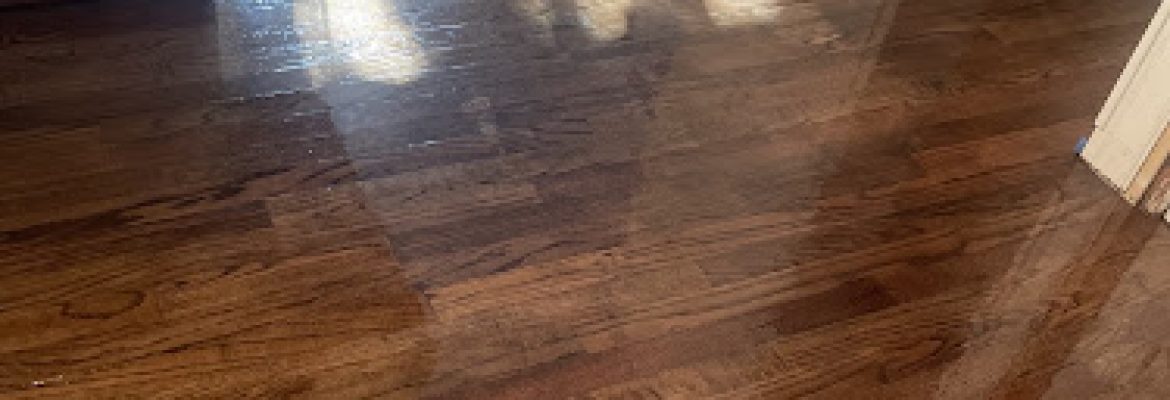 Potter Quality Remodeling