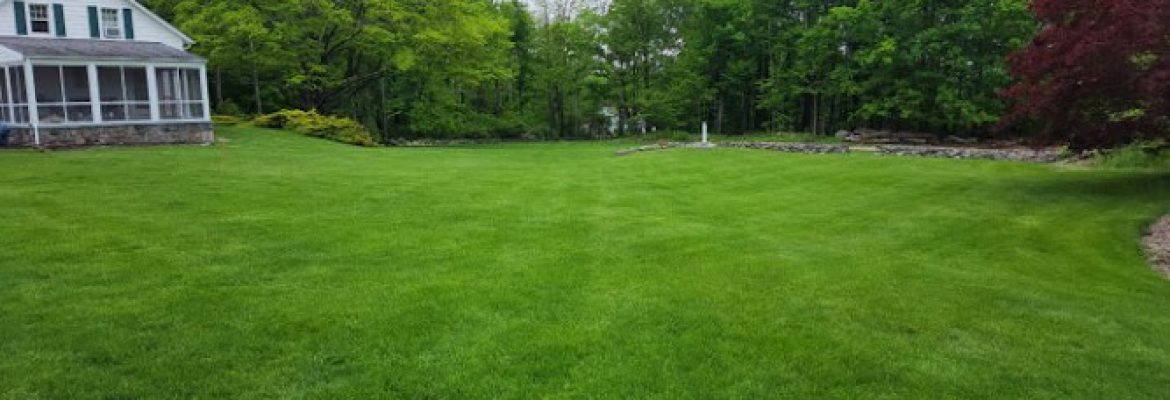SavATree – Tree Service & Lawn Care