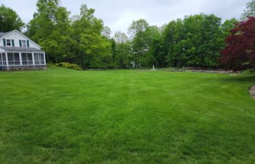 SavATree – Tree Service & Lawn Care