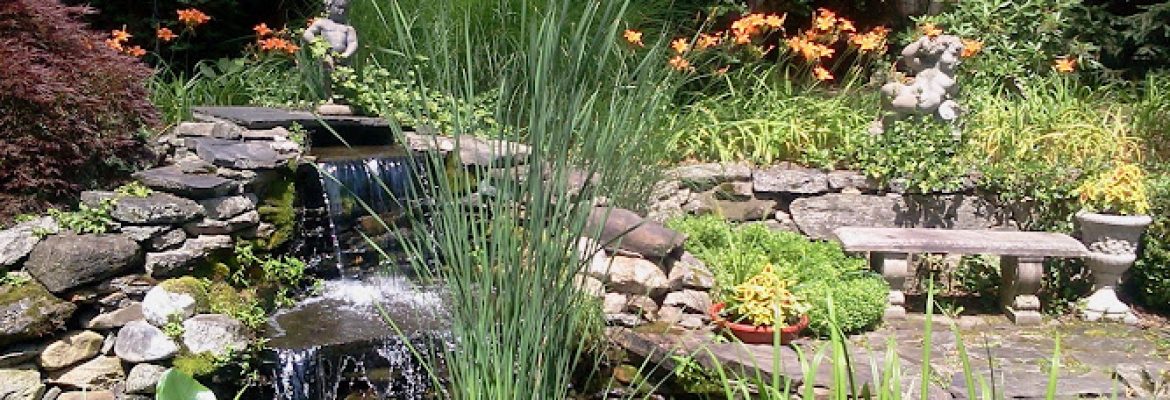 Candide Landscaping & Pond