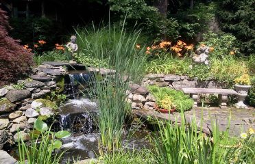 Candide Landscaping & Pond