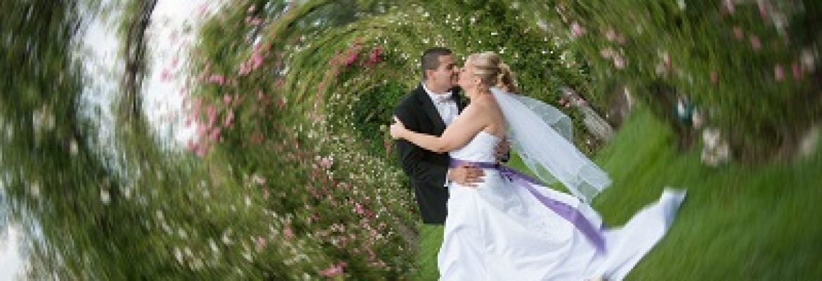 Kathy McGarry Photography