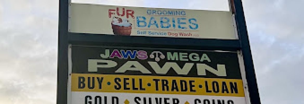 Jaws Pawn Shop Of Southington