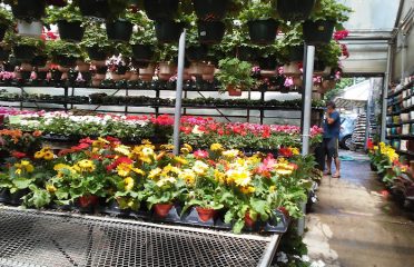 Ganim’s Garden Center and Florist, LLC