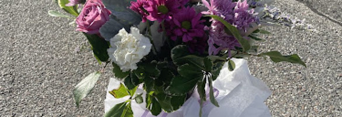 Wildflowers of Tolland