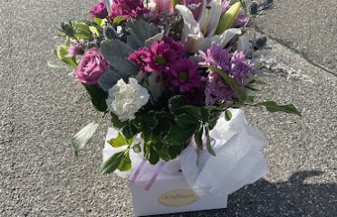Wildflowers of Tolland
