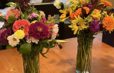 Two Suns Flower Farm