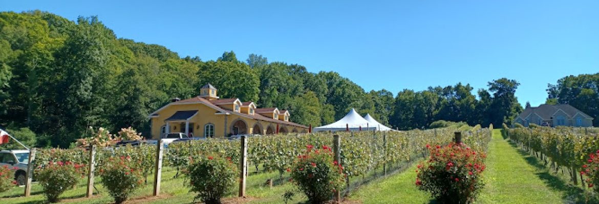Paradise Hills Vineyard & Winery