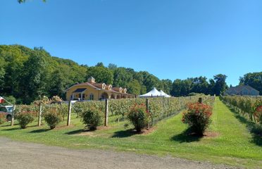 Paradise Hills Vineyard & Winery
