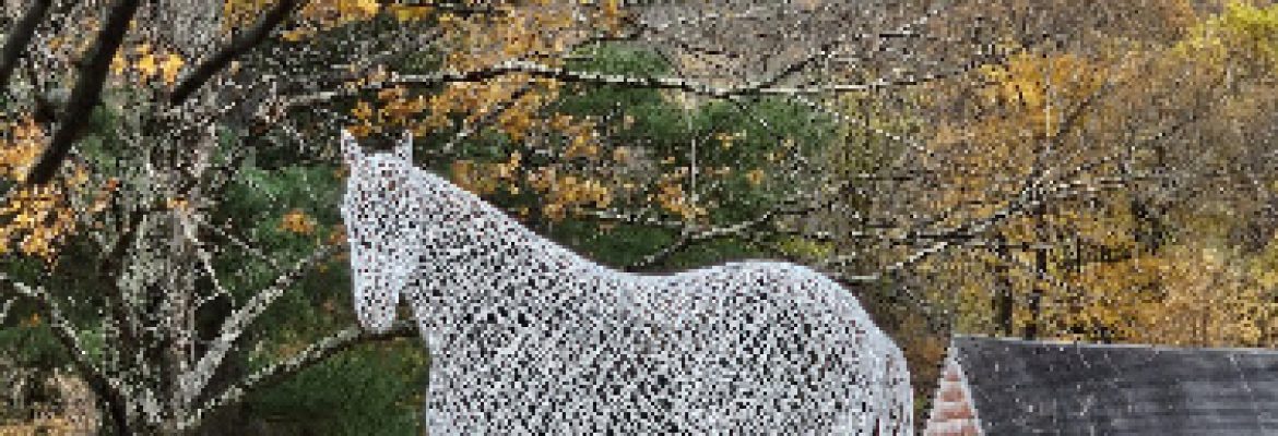 Kent Municipal Sculpture Park