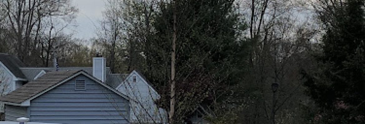 Morin Landscaping